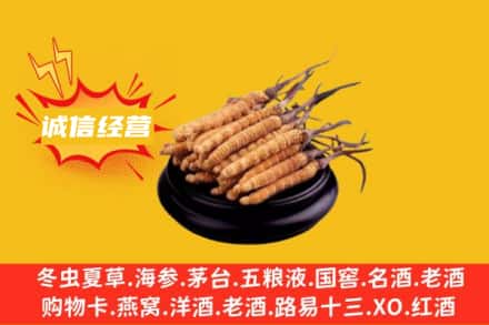 鞍山回收冬虫夏草